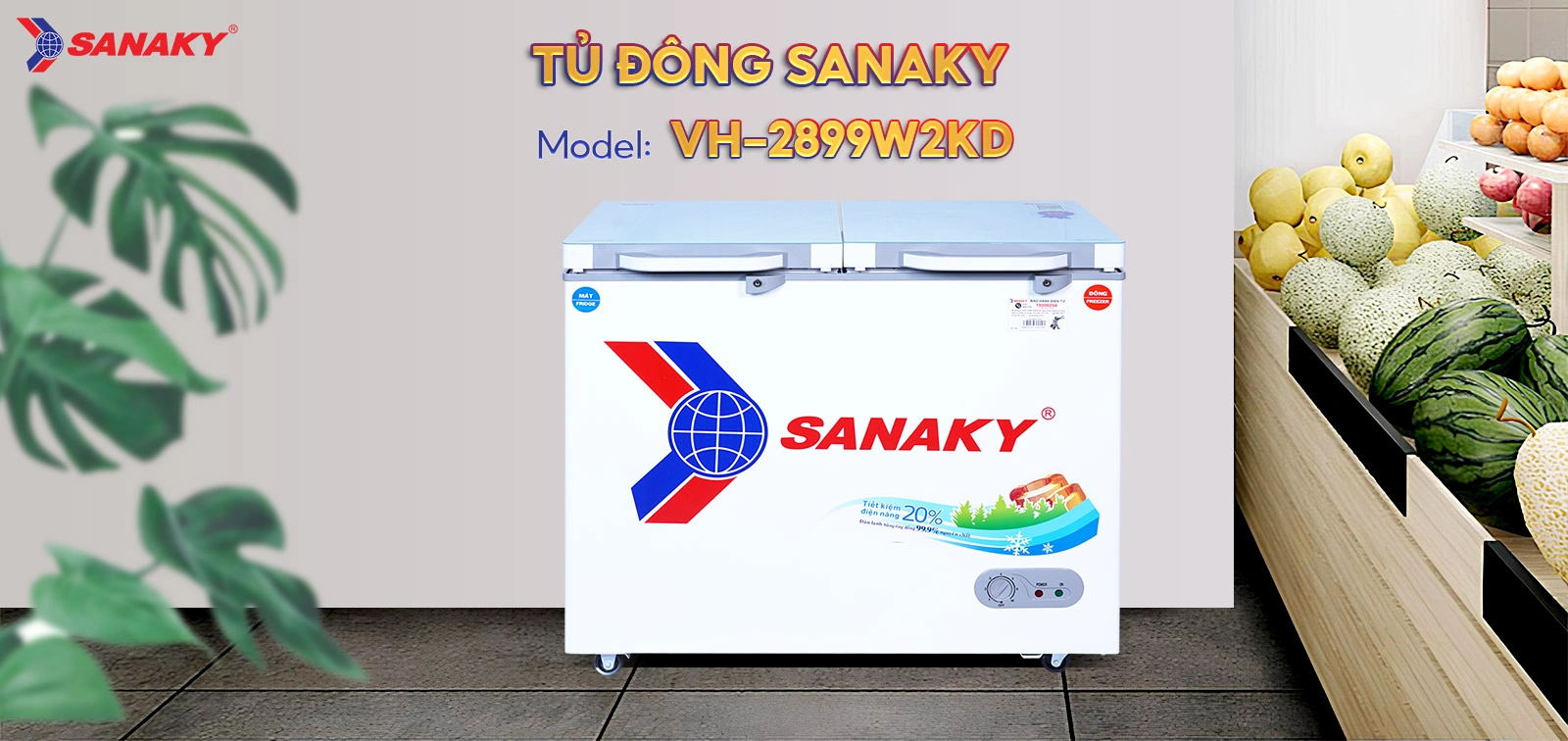 Tủ Đông Sanaky VH-2899W2KD
