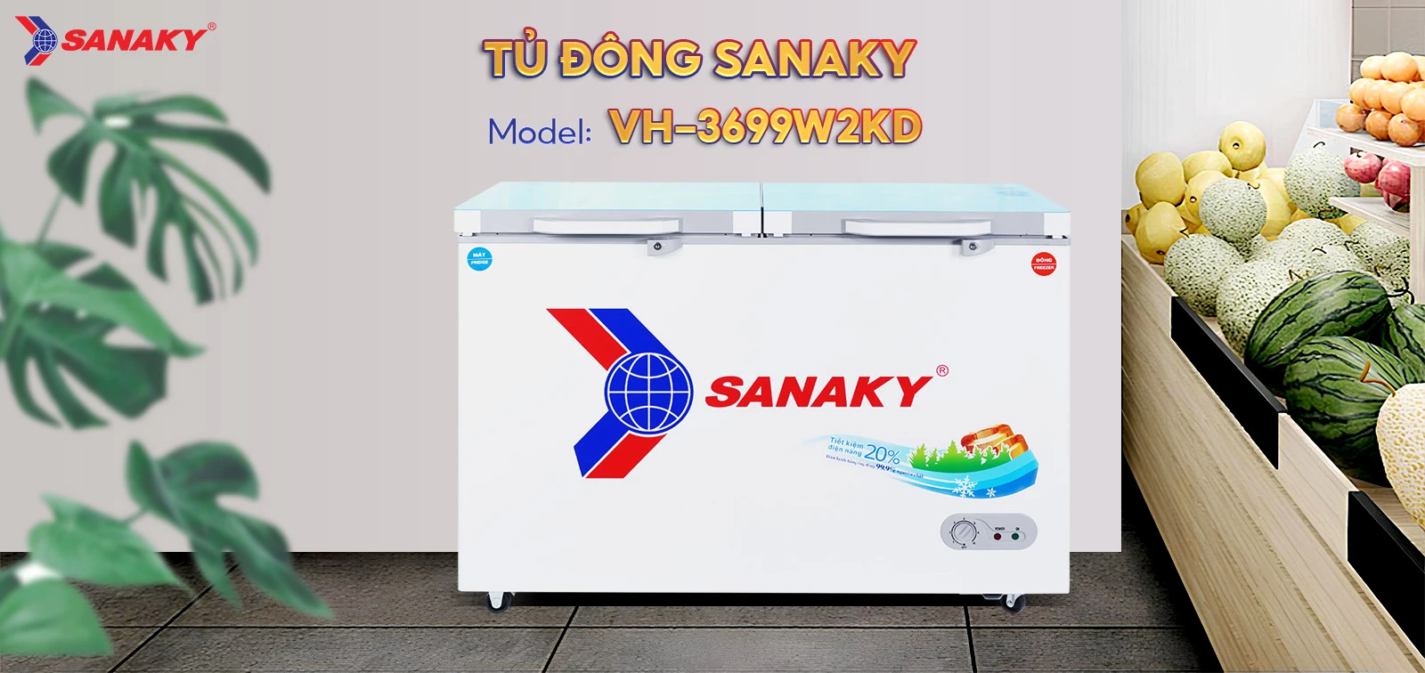 Tủ Đông Sanaky VH-3699W2KD