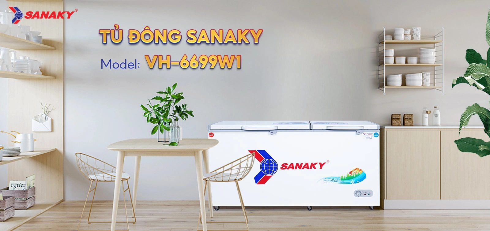 Tủ Đông Sanaky VH-6699W1