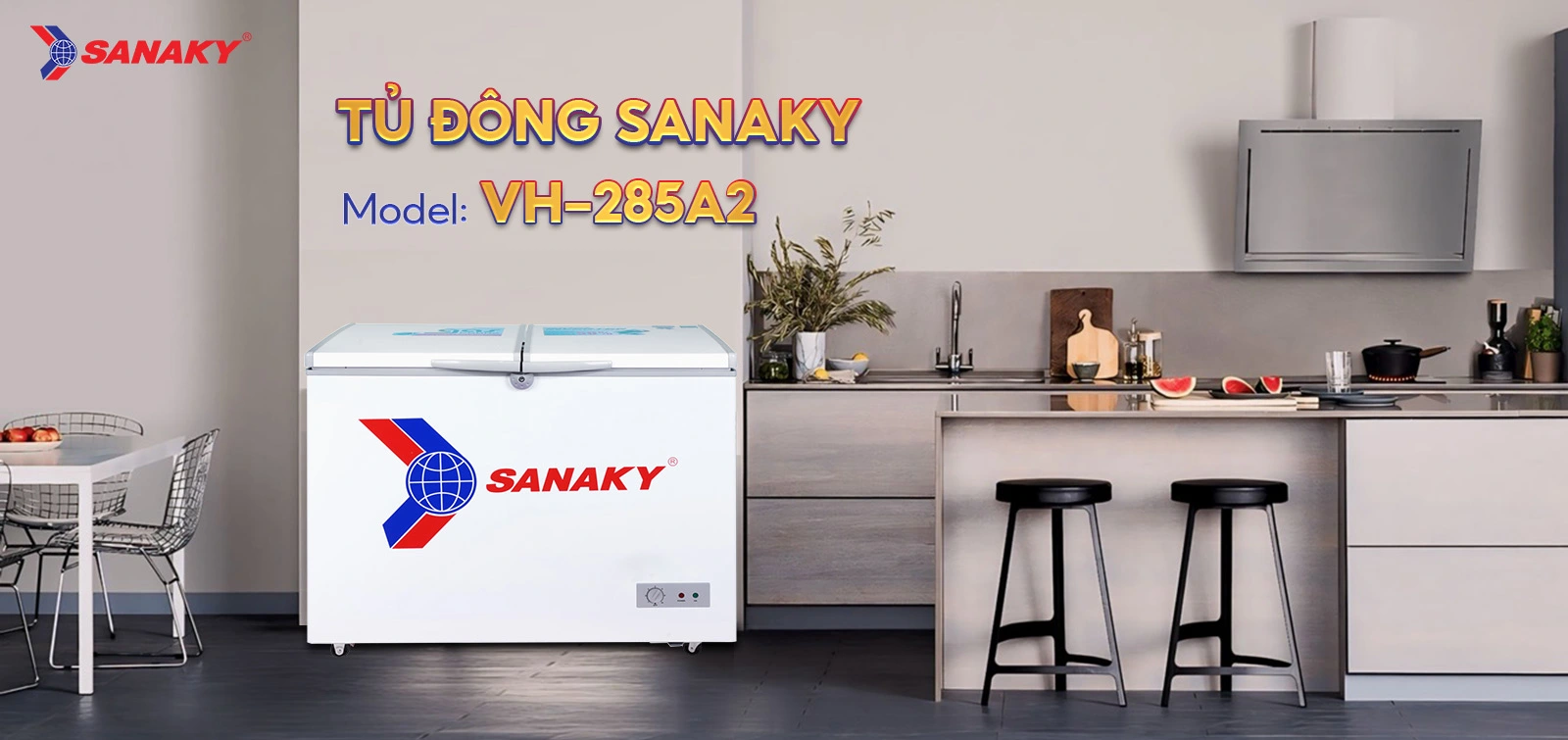 Tủ Đông Sanaky VH-285A2