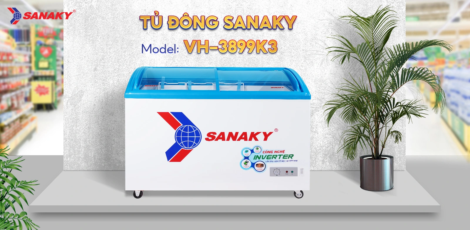 Tủ Đông Sanaky VH-3899K3