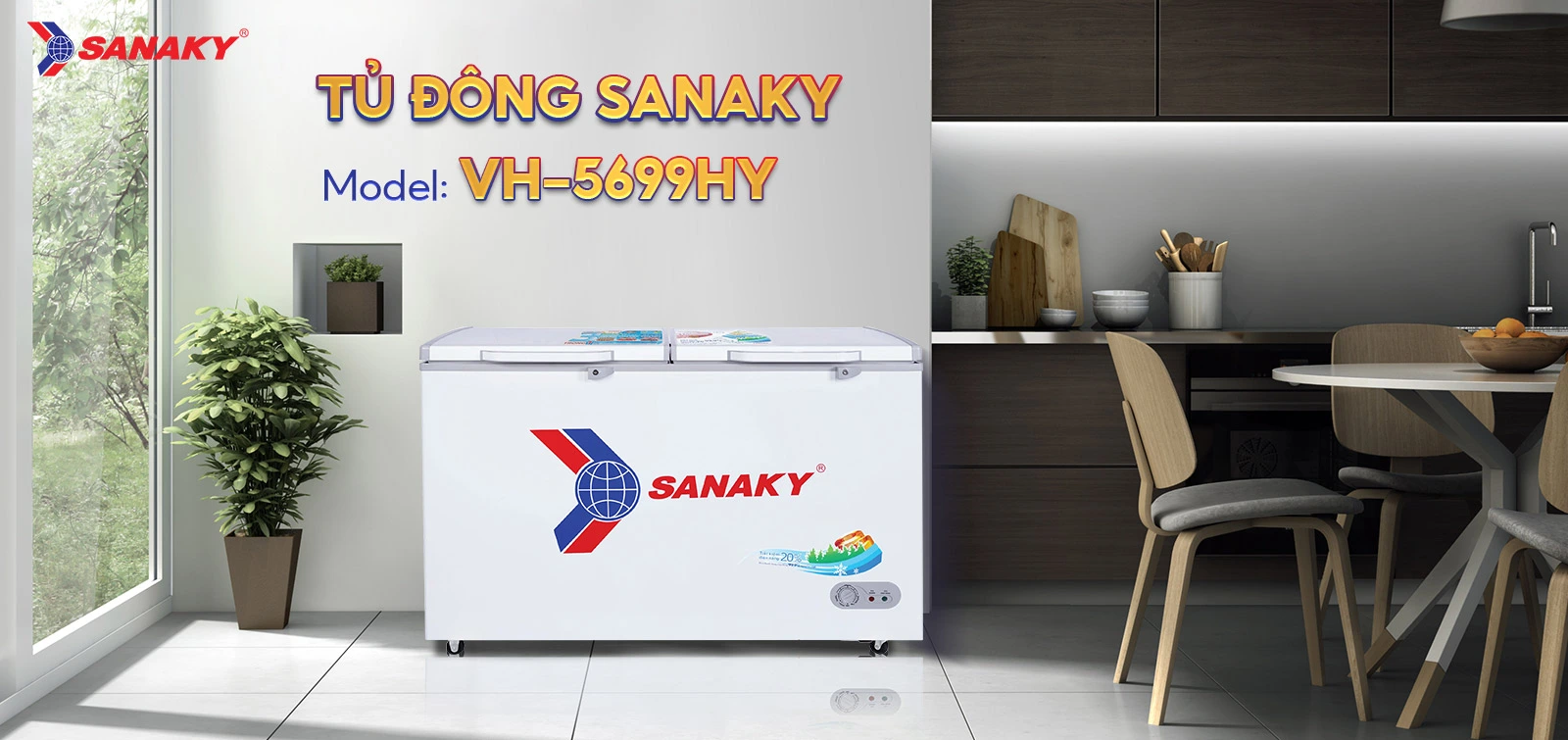 Tủ Đông Sanaky VH-5699HY