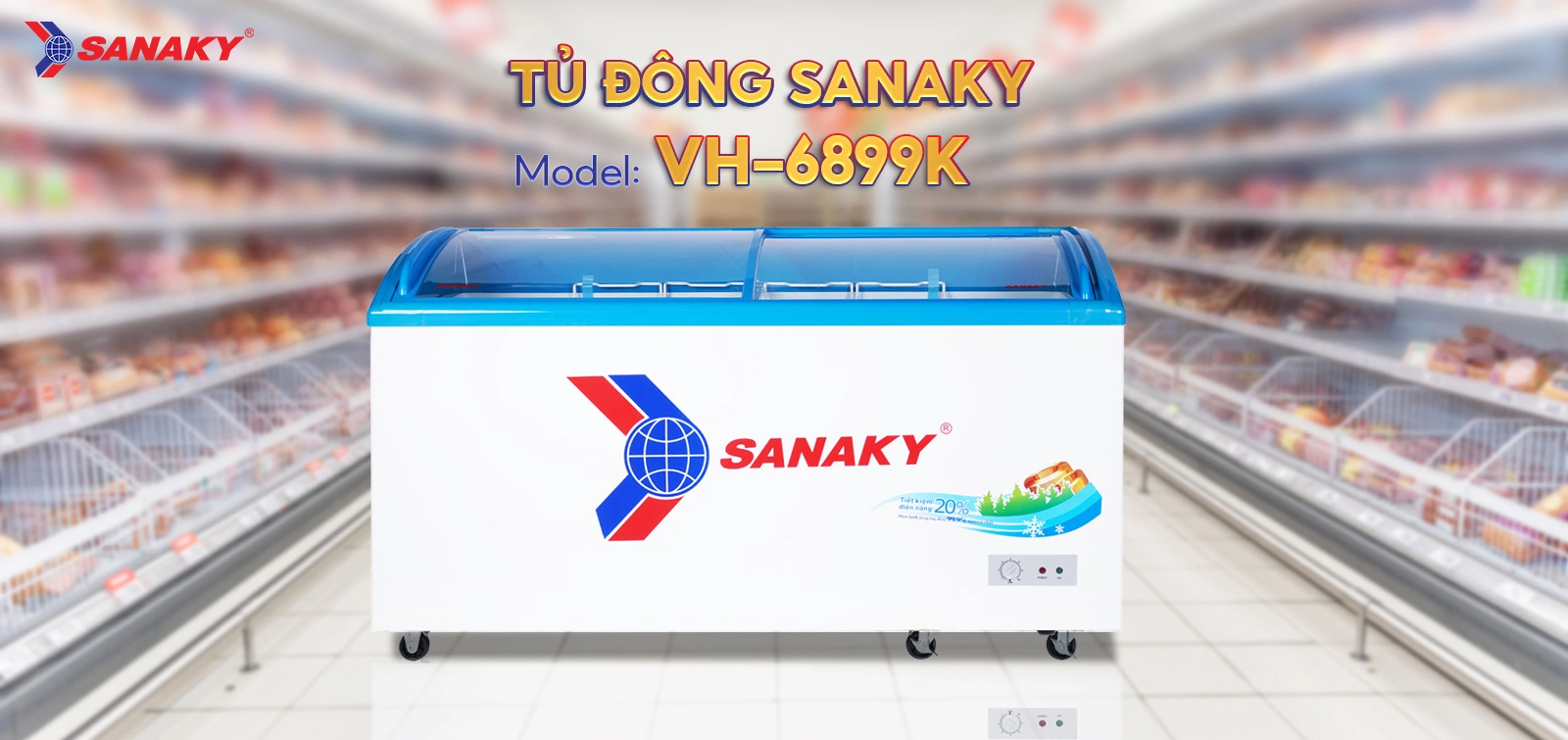 Tủ Đông Sanaky VH-6899K