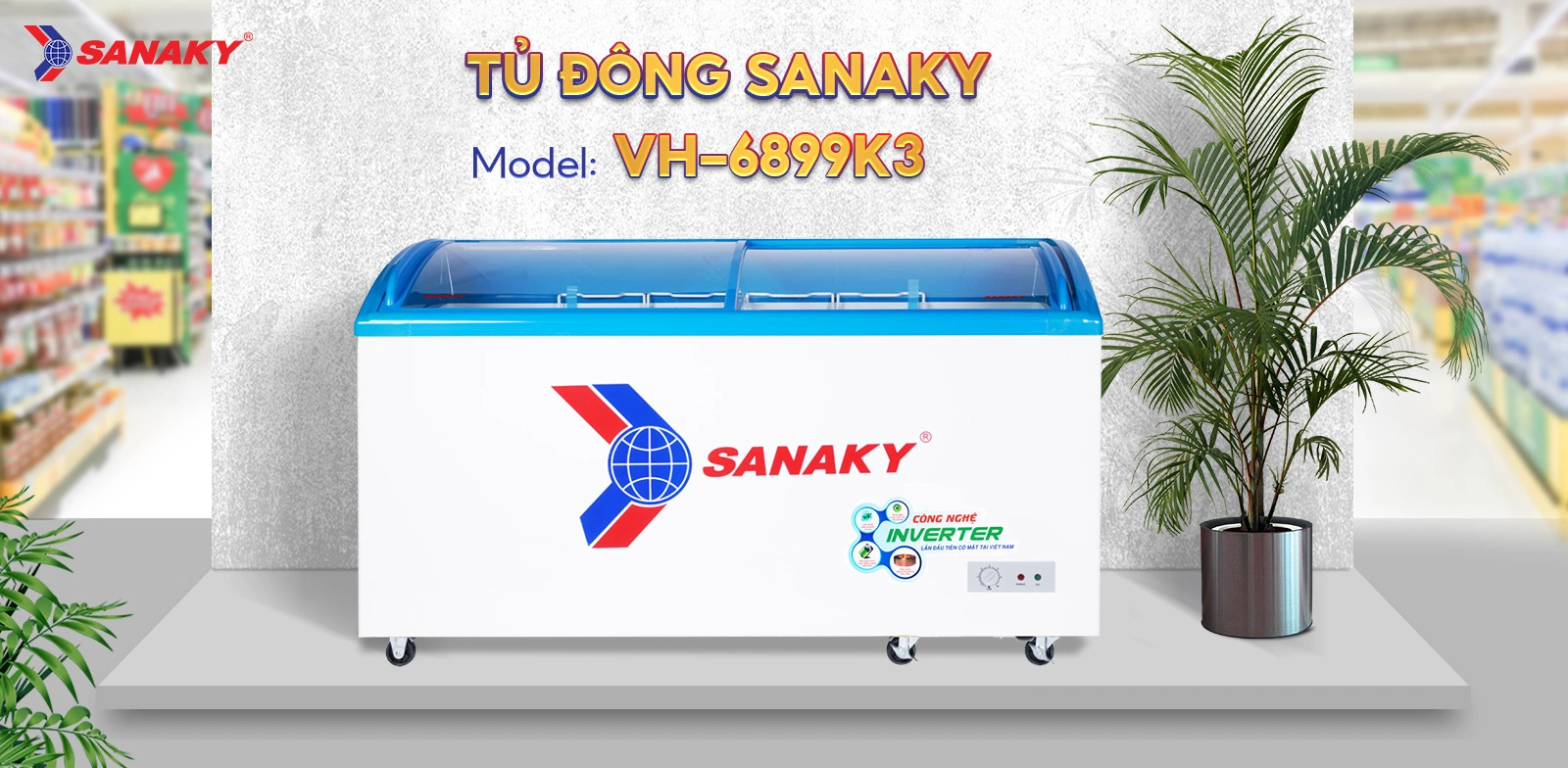 Tủ Đông Sanaky VH-6899K3