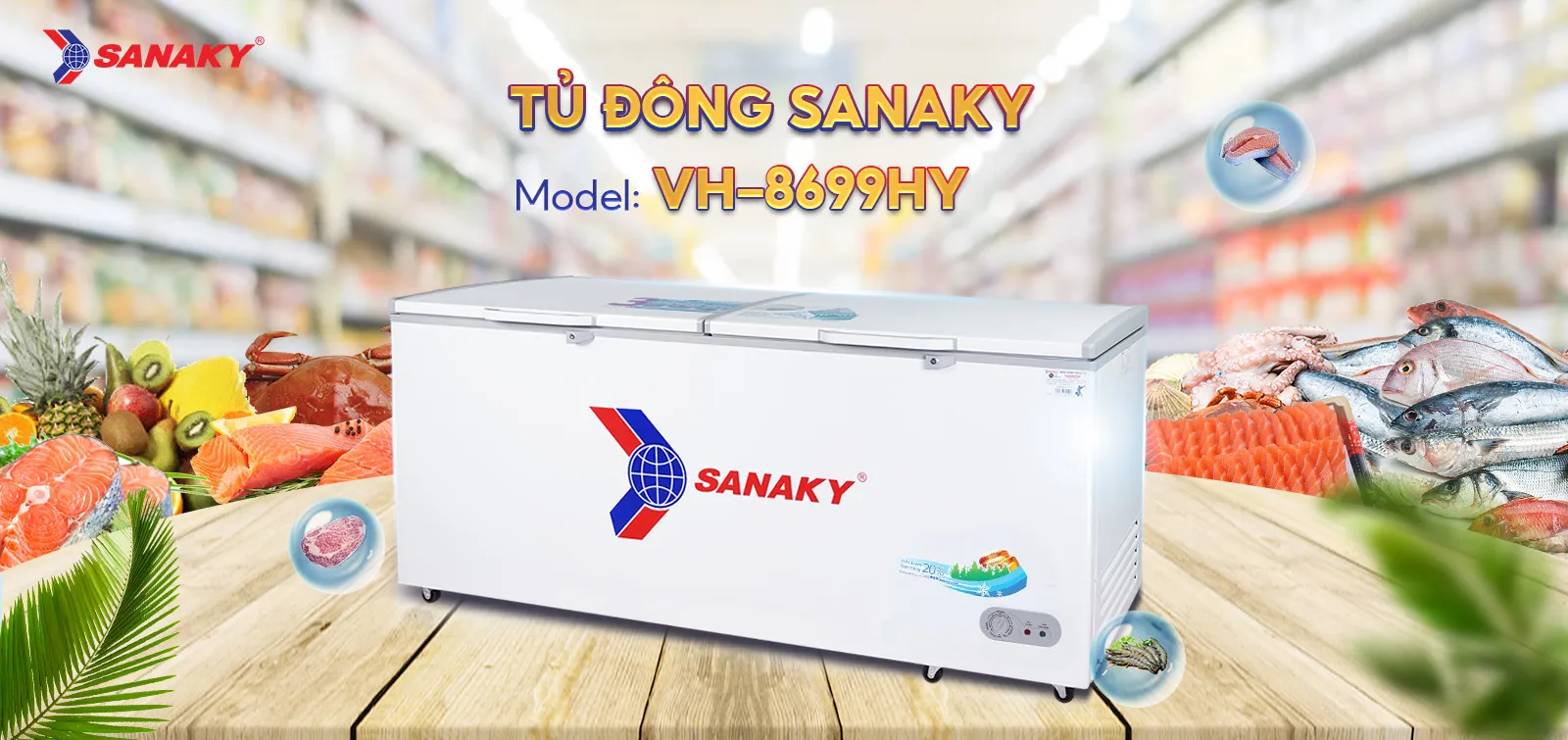 Tủ Đông Sanaky VH-8699HY