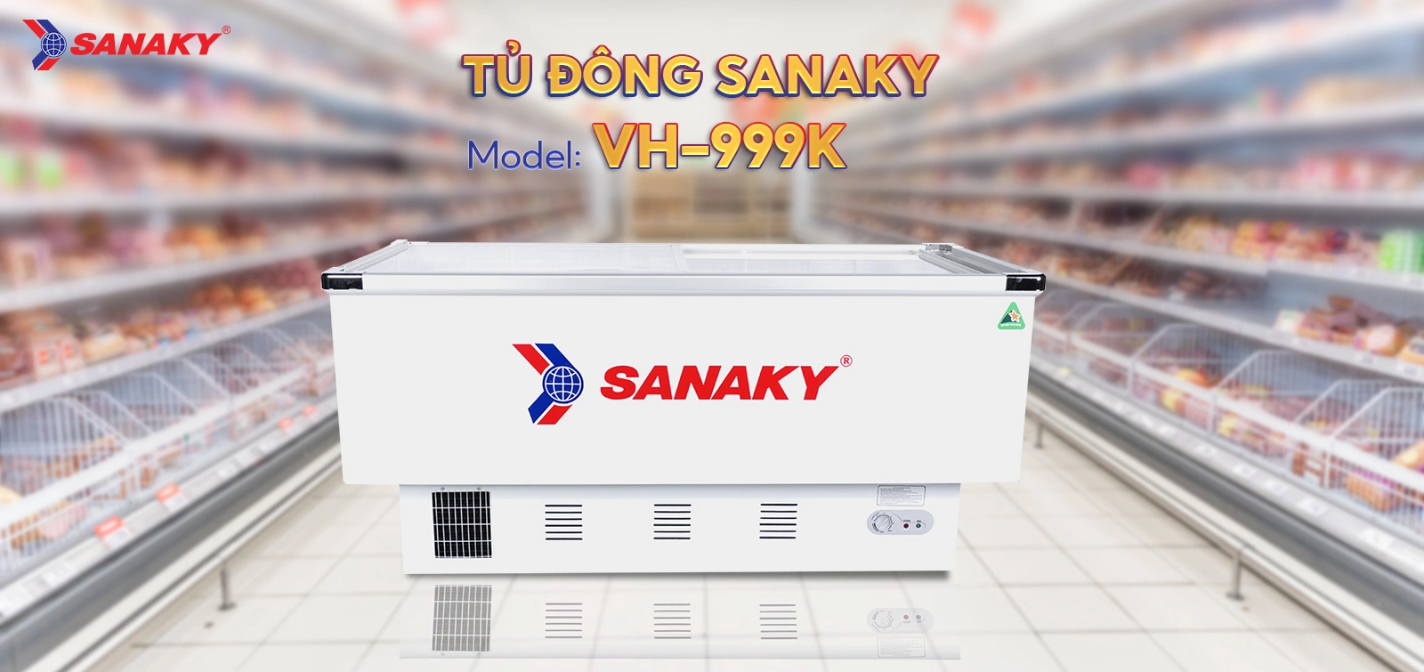 Tủ Đông Sanaky VH-999K