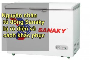 tu-dong-sanaky-bi-ro-dien-1