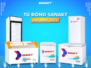 Các loại tủ đông Sanaky mới nhất 2023