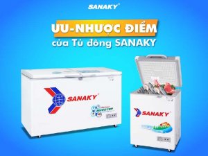 Ưu - nhược điểm của tủ đông Sanaky
