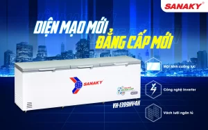 Tủ đông Sanaky VH-1399HY4K