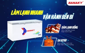 Tủ đông Sanaky VH-6699HYK