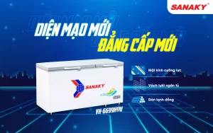 Tủ đông Sanaky VH-6699HYK